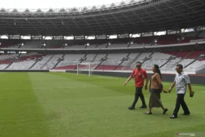 Quyết định cấm sân cỏ nhân tạo không chỉ mang lại lợi ích ngắn hạn