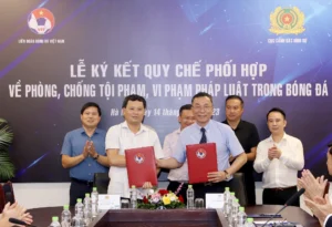 Xử lý kịp thời các vụ việc vi phạm